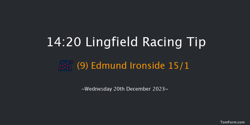 Lingfield 14:20 Handicap (Class 6) 8f Wed 13th Dec 2023