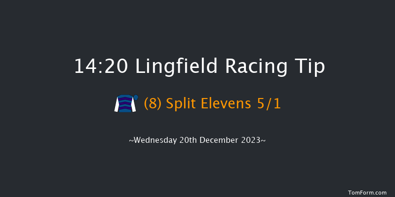 Lingfield 14:20 Handicap (Class 6) 8f Wed 13th Dec 2023