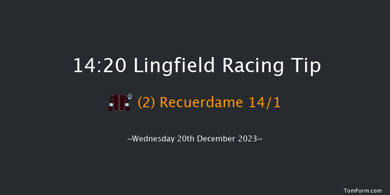 Lingfield 14:20 Handicap (Class 6) 8f Wed 13th Dec 2023