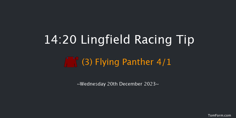 Lingfield 14:20 Handicap (Class 6) 8f Wed 13th Dec 2023