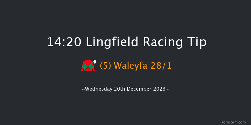 Lingfield 14:20 Handicap (Class 6) 8f Wed 13th Dec 2023