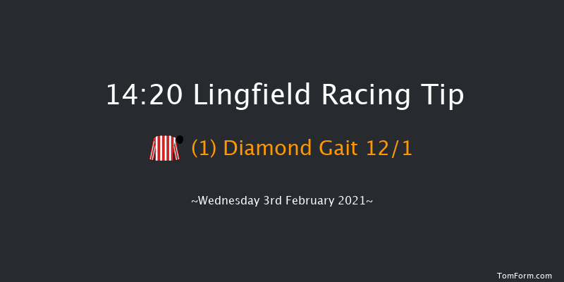 Play Ladbrokes 5-A-Side On Football Maiden Fillies' Stakes (GBB Race) Lingfield 14:20 Maiden (Class 5) 8f Sat 30th Jan 2021