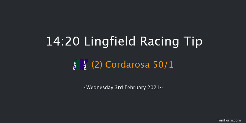 Play Ladbrokes 5-A-Side On Football Maiden Fillies' Stakes (GBB Race) Lingfield 14:20 Maiden (Class 5) 8f Sat 30th Jan 2021