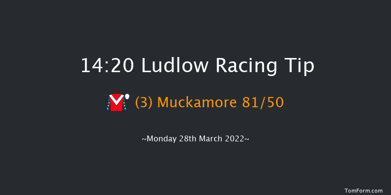 Ludlow 14:20 Handicap Chase (Class 3) 20f Wed 23rd Mar 2022