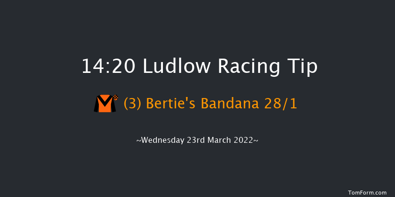 Ludlow 14:20 Maiden Hurdle (Class 4) 16f Thu 3rd Mar 2022