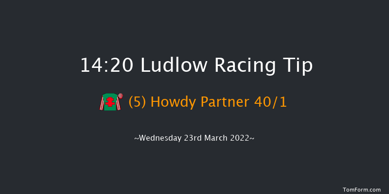 Ludlow 14:20 Maiden Hurdle (Class 4) 16f Thu 3rd Mar 2022