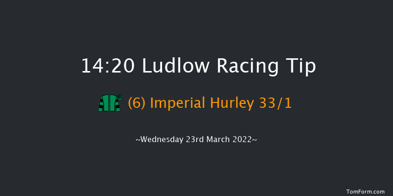 Ludlow 14:20 Maiden Hurdle (Class 4) 16f Thu 3rd Mar 2022