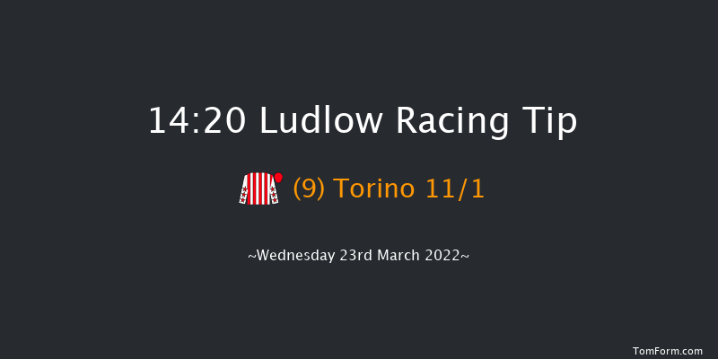 Ludlow 14:20 Maiden Hurdle (Class 4) 16f Thu 3rd Mar 2022