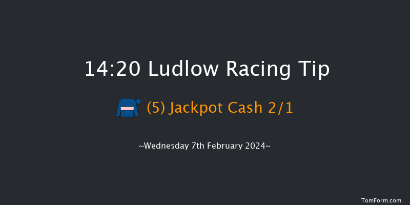 Ludlow  14:20 Maiden
Hurdle (Class 4) 16f Fri 5th Jan 2024