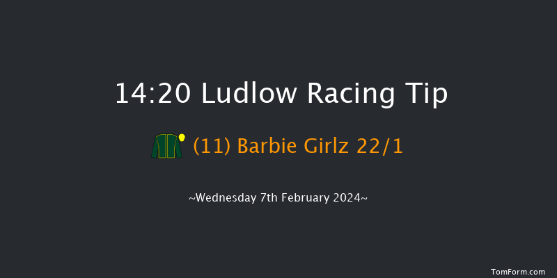 Ludlow  14:20 Maiden
Hurdle (Class 4) 16f Fri 5th Jan 2024