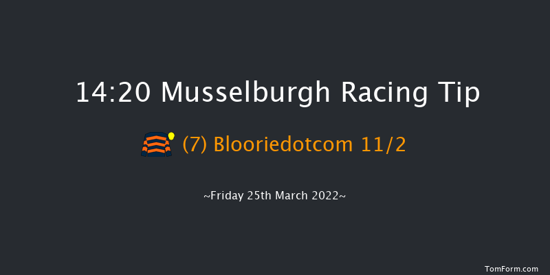 Musselburgh 14:20 Handicap Hurdle (Class 2) 17f Wed 2nd Mar 2022