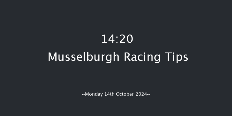 Musselburgh  14:20 Seller (Class 4) 12f Wed 2nd Oct 2024