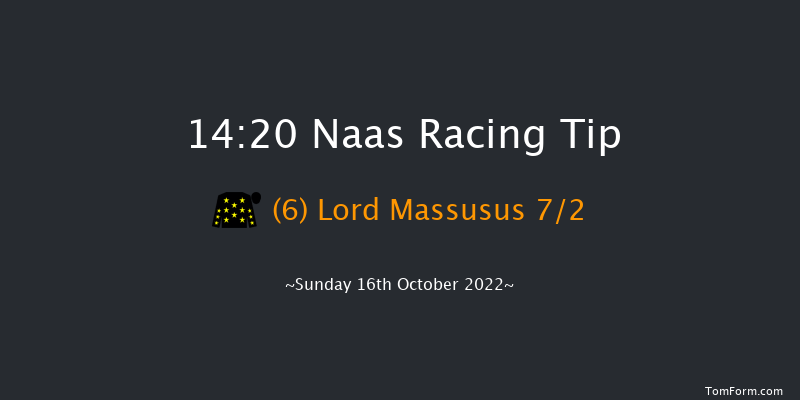 Naas 14:20 Stakes 7f Thu 15th Sep 2022