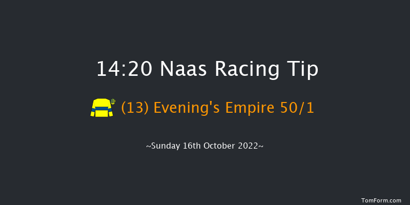 Naas 14:20 Stakes 7f Thu 15th Sep 2022