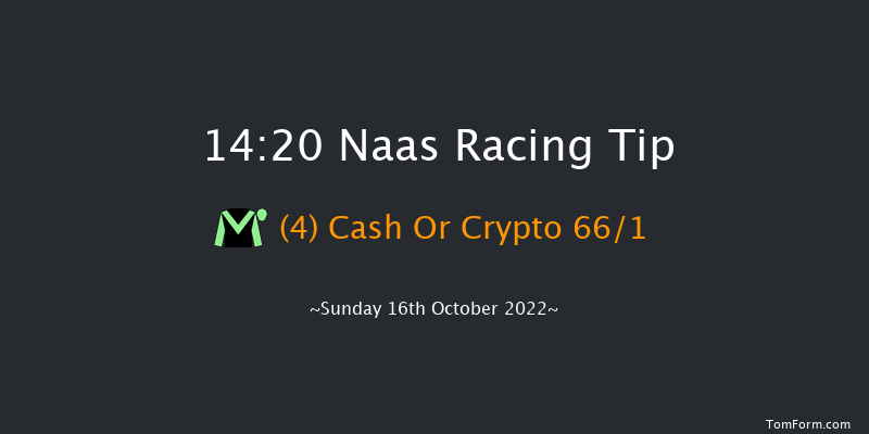 Naas 14:20 Stakes 7f Thu 15th Sep 2022