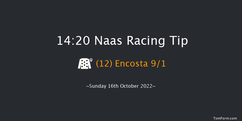 Naas 14:20 Stakes 7f Thu 15th Sep 2022