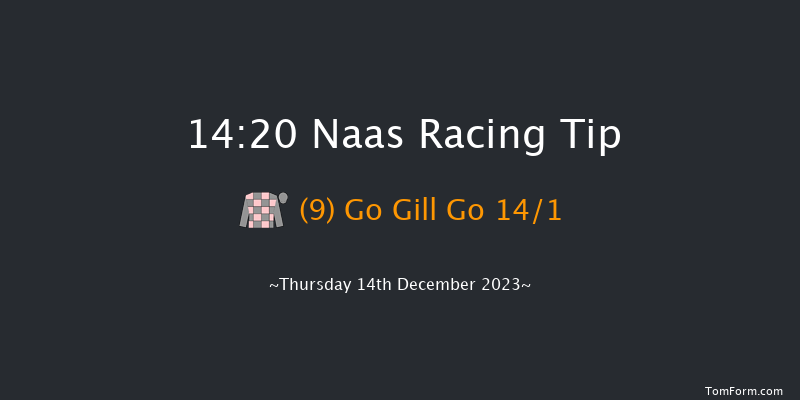 Naas 14:20 Handicap Hurdle 16f Sun 12th Nov 2023