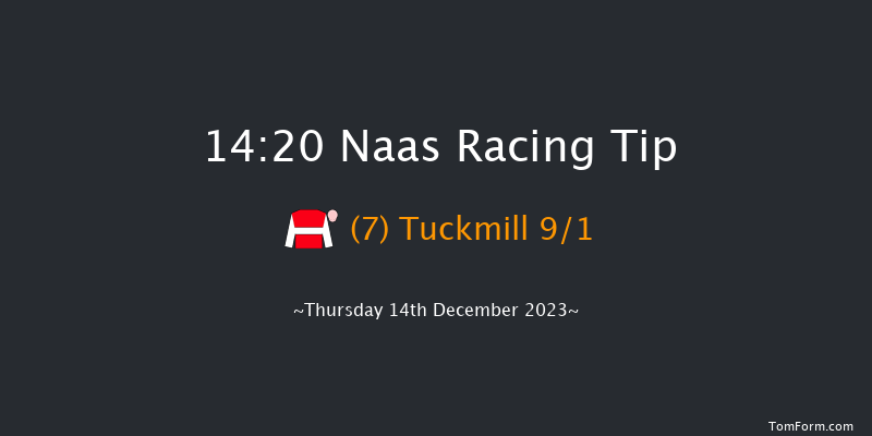 Naas 14:20 Handicap Hurdle 16f Sun 12th Nov 2023