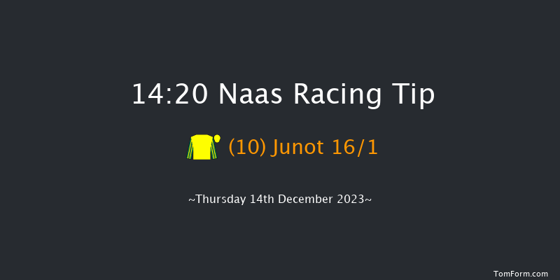 Naas 14:20 Handicap Hurdle 16f Sun 12th Nov 2023