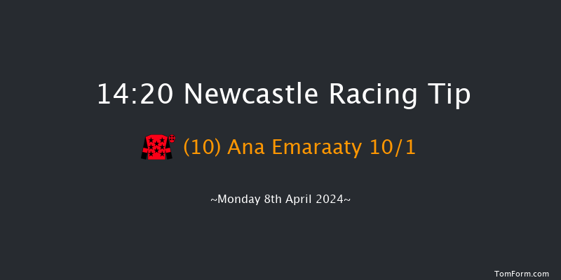 Newcastle  14:20 Handicap (Class 6) 10f Fri 29th Mar 2024