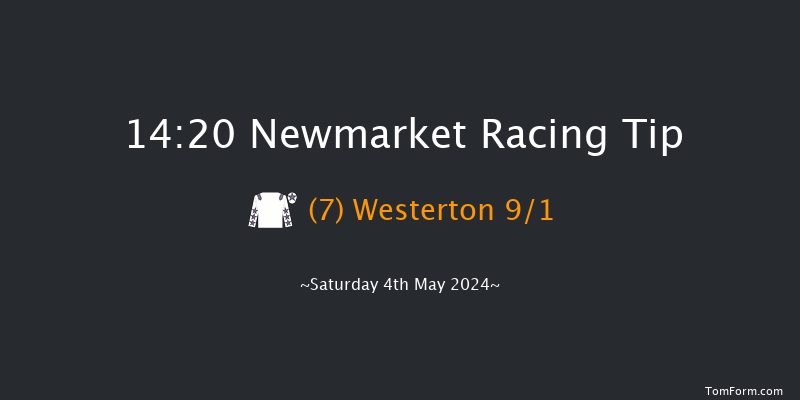 Newmarket  14:20 Handicap (Class 2) 9f Fri 3rd May 2024