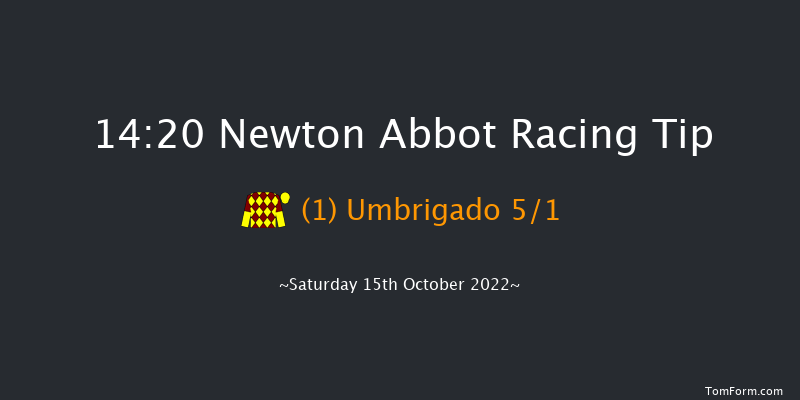 Newton Abbot 14:20 Handicap Hurdle (Class 2) 26f Mon 26th Sep 2022