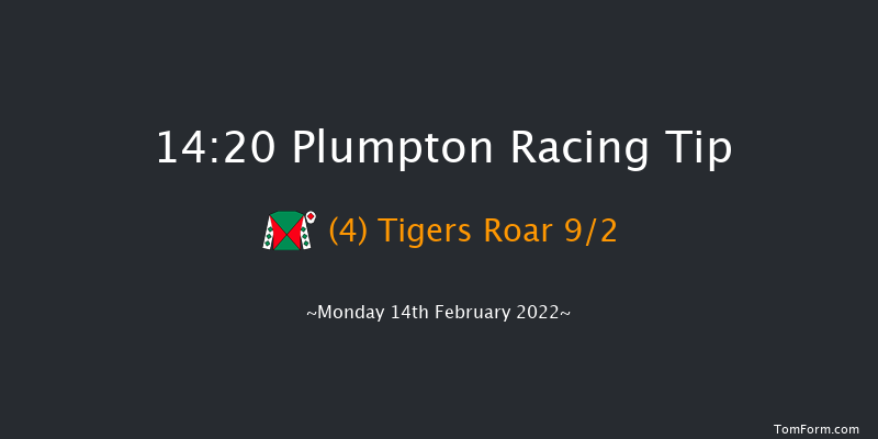 Plumpton 14:20 Handicap Hurdle (Class 4) 25f Mon 31st Jan 2022