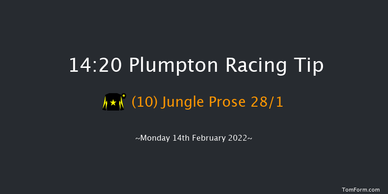 Plumpton 14:20 Handicap Hurdle (Class 4) 25f Mon 31st Jan 2022