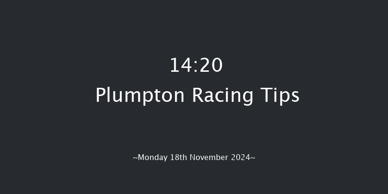 Plumpton  14:20 Handicap Hurdle (Class 5) 20f Mon 4th Nov 2024