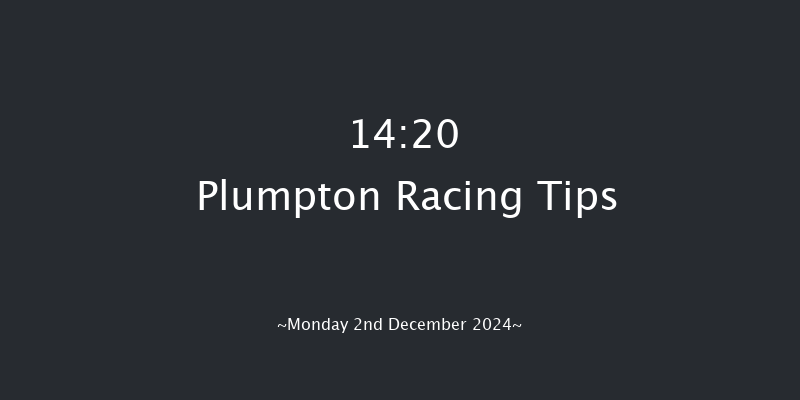 Plumpton  14:20 Handicap Chase (Class 4) 26f Mon 18th Nov 2024