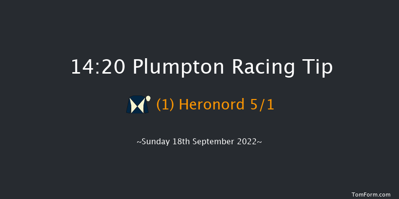 Plumpton 14:20 Handicap Chase (Class 5) 20f Sun 8th May 2022