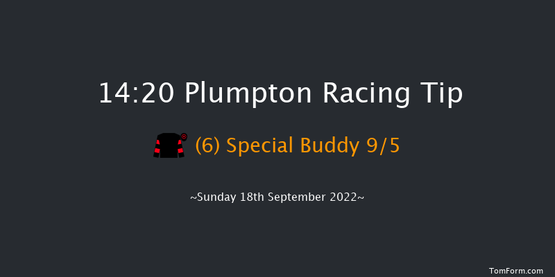 Plumpton 14:20 Handicap Chase (Class 5) 20f Sun 8th May 2022