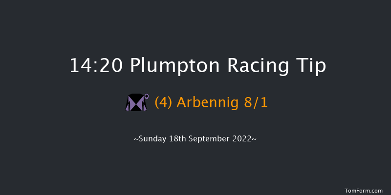 Plumpton 14:20 Handicap Chase (Class 5) 20f Sun 8th May 2022