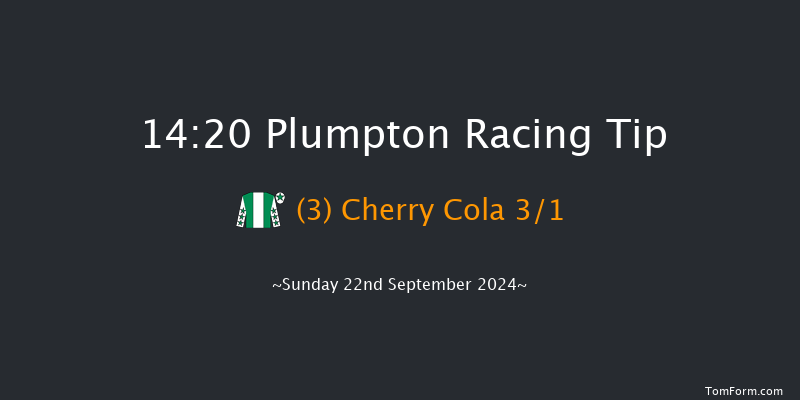 Plumpton  14:20 Maiden Hurdle (Class 4) 20f  Sun 12th May 2024