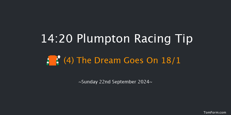 Plumpton  14:20 Maiden Hurdle (Class 4) 20f  Sun 12th May 2024