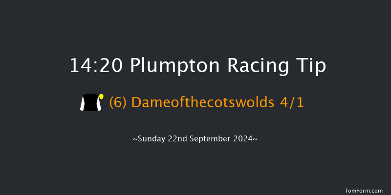 Plumpton  14:20 Maiden Hurdle (Class 4) 20f  Sun 12th May 2024