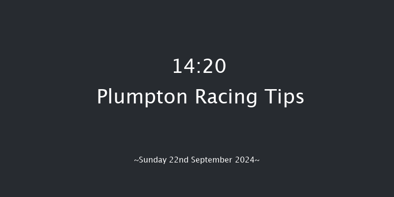 Plumpton  14:20 Maiden Hurdle (Class 4) 20f  Sun 12th May 2024