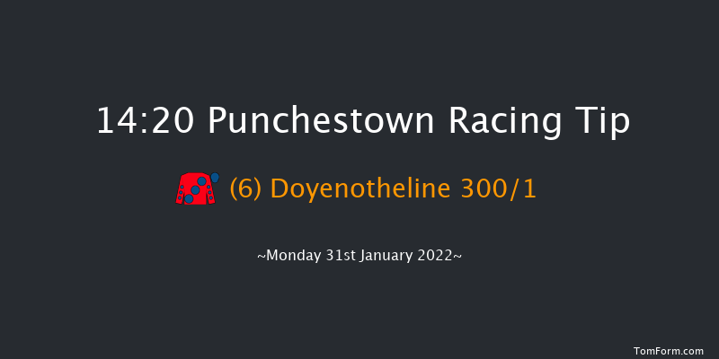 Punchestown 14:20 Maiden Hurdle 20f Mon 17th Jan 2022