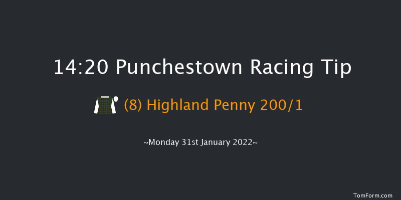 Punchestown 14:20 Maiden Hurdle 20f Mon 17th Jan 2022