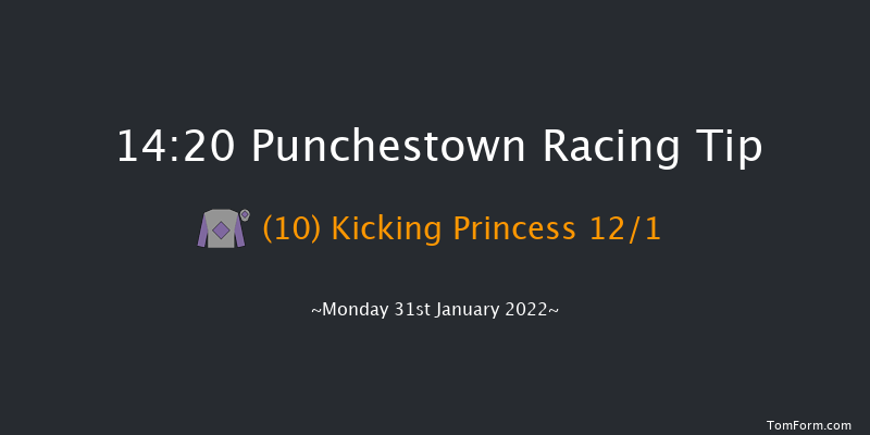 Punchestown 14:20 Maiden Hurdle 20f Mon 17th Jan 2022