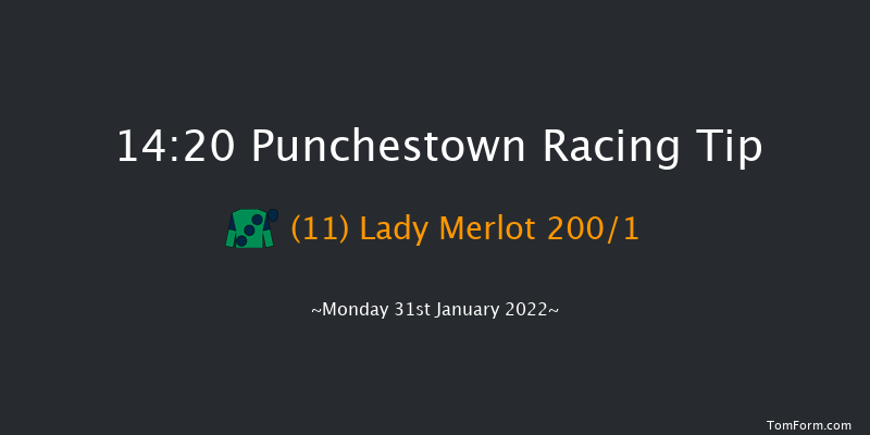 Punchestown 14:20 Maiden Hurdle 20f Mon 17th Jan 2022