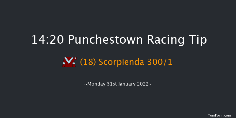 Punchestown 14:20 Maiden Hurdle 20f Mon 17th Jan 2022