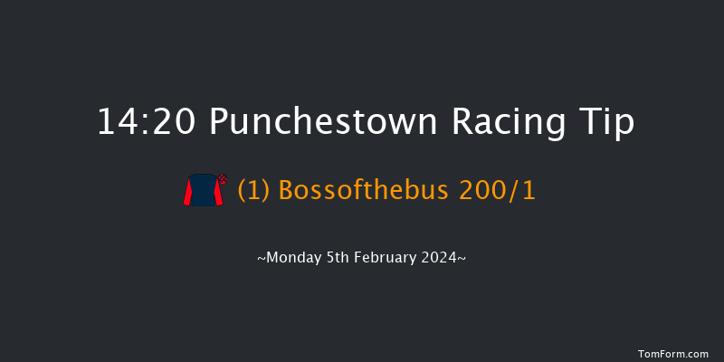 Punchestown  14:20 Maiden Hurdle
17f Mon 29th Jan 2024