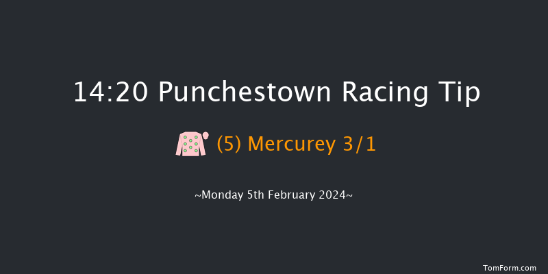 Punchestown  14:20 Maiden Hurdle
17f Mon 29th Jan 2024