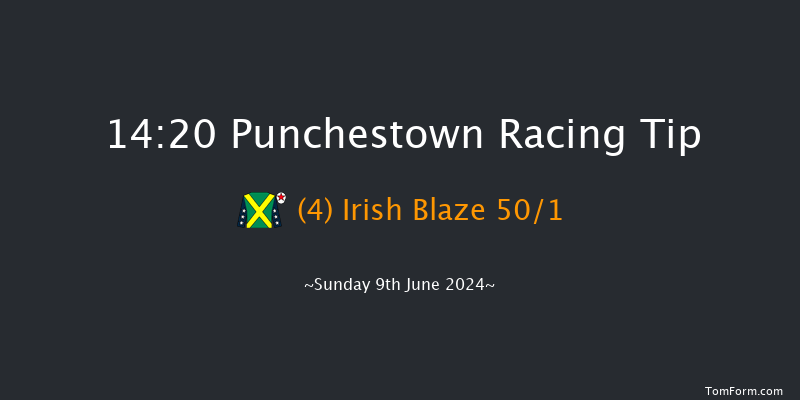 Punchestown  14:20 Handicap
Chase 20f Sat 8th Jun 2024