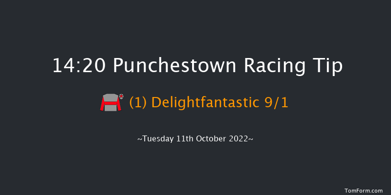 Punchestown 14:20 Handicap Hurdle 16f Tue 13th Sep 2022