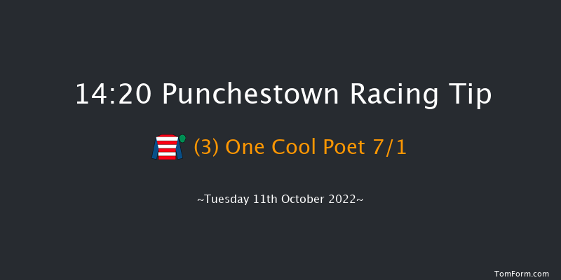 Punchestown 14:20 Handicap Hurdle 16f Tue 13th Sep 2022