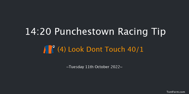 Punchestown 14:20 Handicap Hurdle 16f Tue 13th Sep 2022