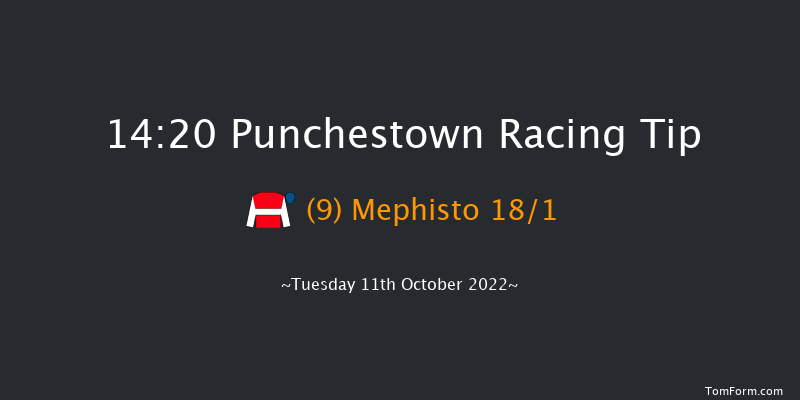 Punchestown 14:20 Handicap Hurdle 16f Tue 13th Sep 2022