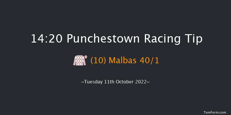 Punchestown 14:20 Handicap Hurdle 16f Tue 13th Sep 2022